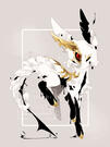 feral