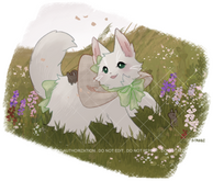 feral fullbody